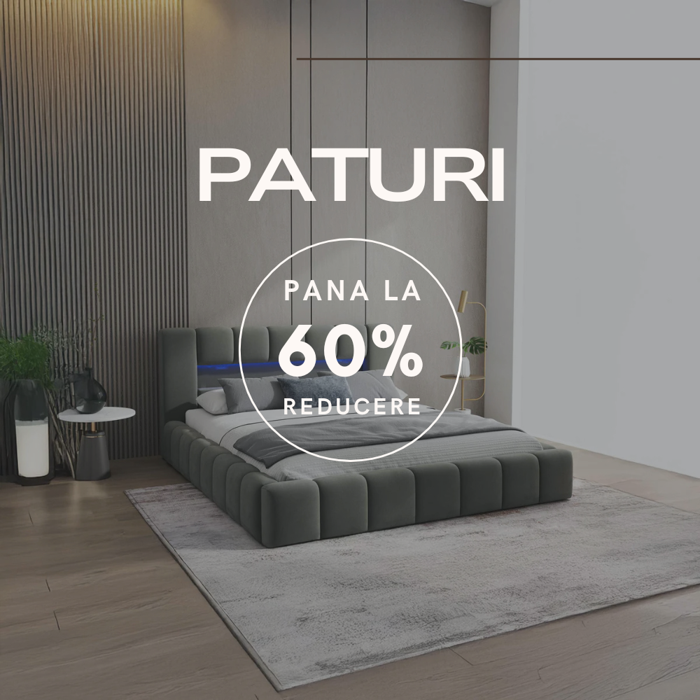 Paturi