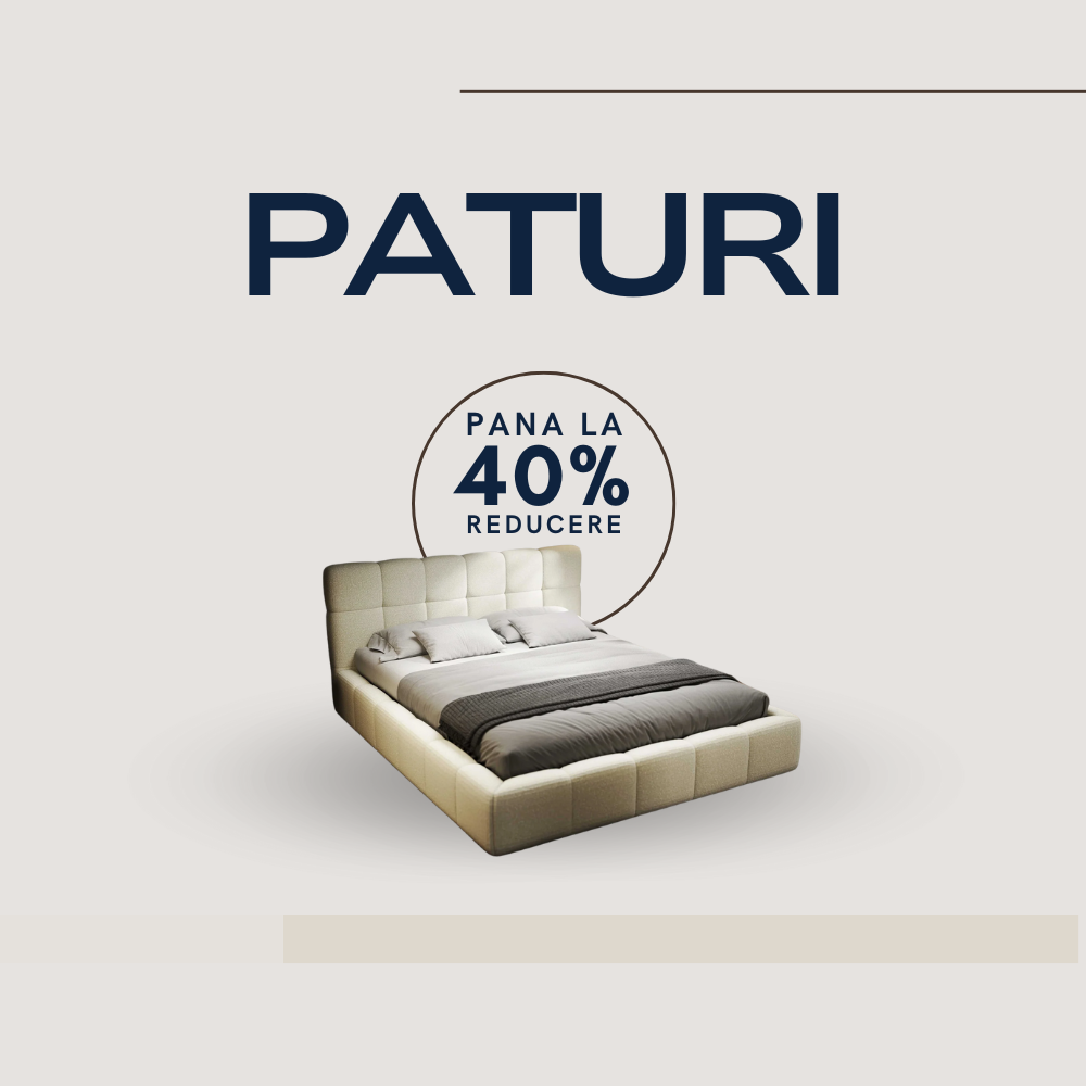 Paturi