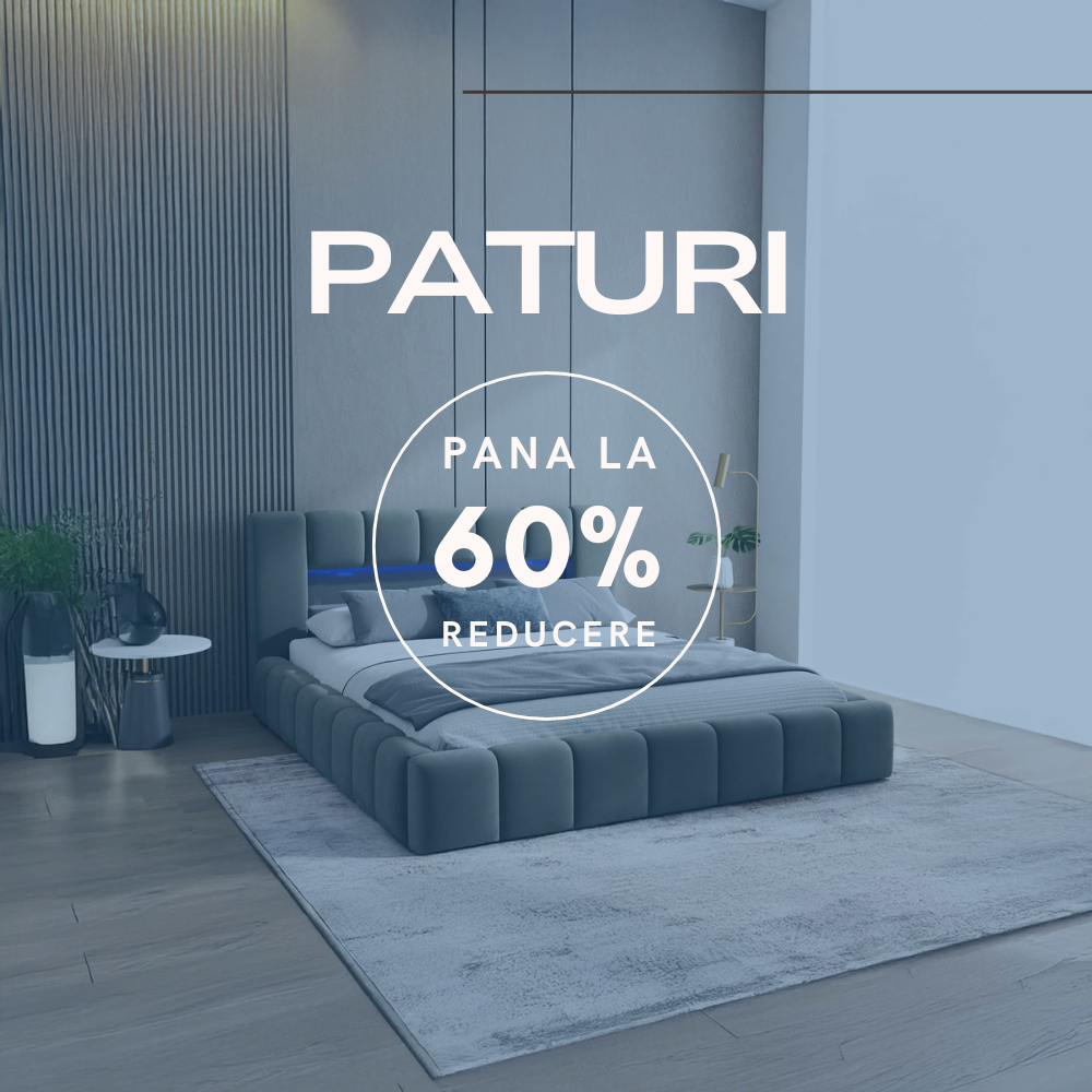 Paturi